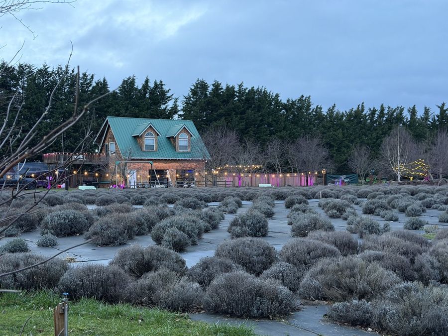 The farm store, evening