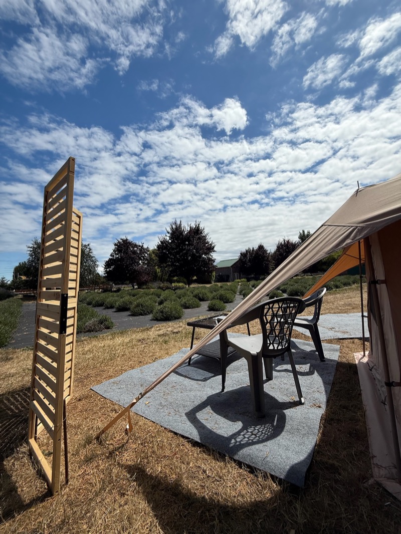 Glamping yurt with patio among lavender